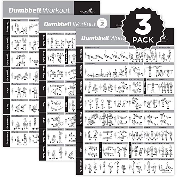 NewMe Fitness Dumbbell Workout Exercise Poster - NOW LAMINATED - Strength Training Chart - Build Muscle, Tone & Tighten - Home Gym Weight Lifting Routine - Body Building Guide w/Free Weights